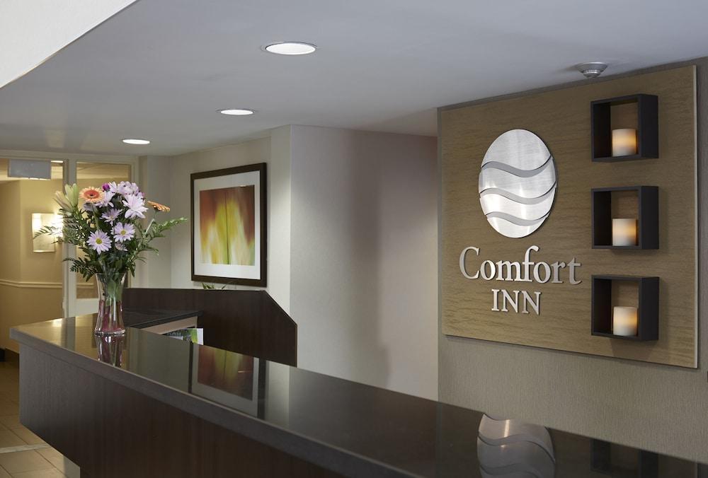 Comfort Inn Alma Buitenkant foto